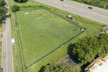 Pet park overview