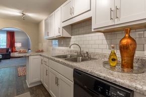 Raleigh townhouse for rent - Double Stainless Steel Sink at Shellbrook, North Carolina, 27609
