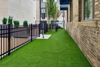 Lawn 