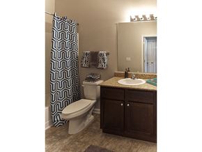 Carthage apartment for rent - Vanity and toilet in Bathroom at Tyler's Ridge Apartments in Carthage, NC