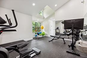 Greensboro apartment for rent - the gym at the callaway house austin at Wendover River Oaks, North Carolina, 27409