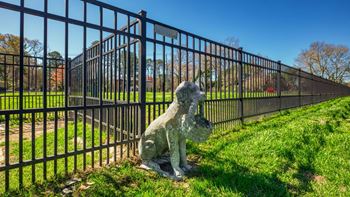 Dog park