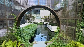 An indoor garden with water and plants in a greenhouse