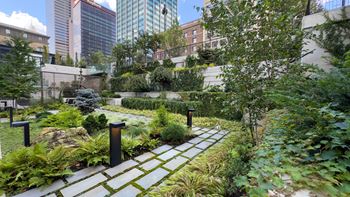 A garden with buildings in the background
