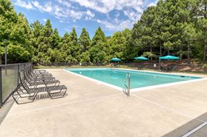 Williamsburg apartment for rent - A pool surrounded by trees and lounge chairs.