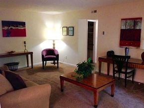 Raleigh apartment for rent - Living room