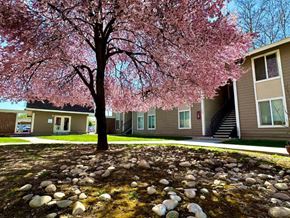 Boise apartment for rent - A tree with pink blossoms stands in front of a building.