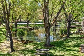 Boise apartment for rent - A serene park with a pond, trees, and a bench.