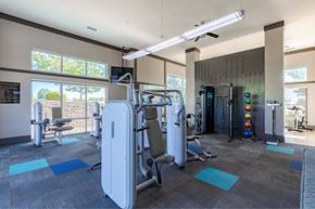 Broomfield apartment for rent - A gym with a variety of equipment including a treadmill, weights, and a bench press.