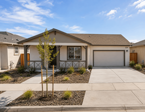 Chico apartment for rent - A small tree stands in front of a house with a garage door.