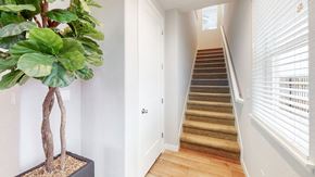 Fairfield apartment for rent - A tree in a planter sits next to a staircase.