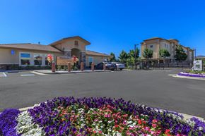 Pittsburg apartment for rent - Exterior Landscape at Edgewater, Pittsburg, CA  