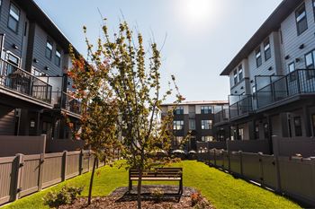 Community garden