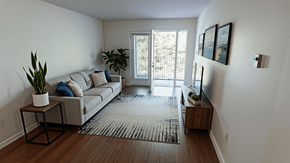 Fredericton apartment for rent - A living room with a couch, a rug, and a plant.