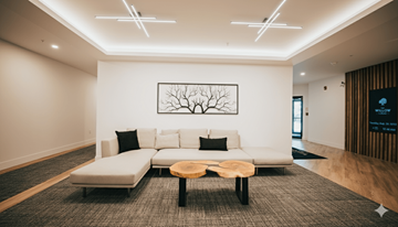 Fredericton apartment for rent - A modern living room with a white couch and a tree-like picture on the wall.