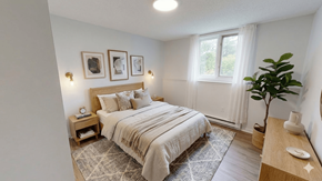 Fredericton apartment for rent - A bedroom with a bed, nightstand, and a plant.