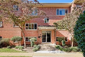 Alexandria apartment for rent - A red brick house with a tree in front.