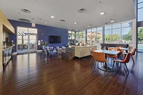 Falls Church apartment for rent - A spacious room with wooden floors and a large window overlooking a tree-filled area.