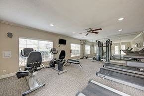 Austin apartment for rent - A spacious home gym with a variety of exercise equipment.