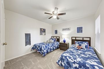 Austin apartment for rent - A bedroom with two beds and a ceiling fan.