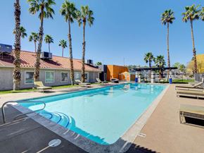 Las Vegas apartment for rent - A pool surrounded by palm trees and a building in the background.