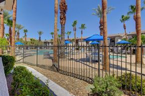 Las Vegas apartment for rent - A pool surrounded by palm trees and a black fence.