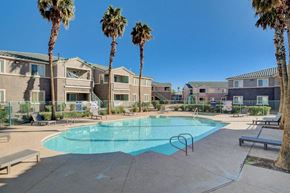 Las Vegas apartment for rent - A swimming pool surrounded by palm trees and apartment buildings.