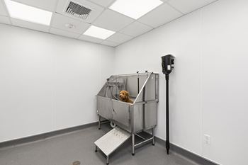 Pet grooming station