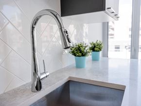 Ottawa apartment for rent - A modern kitchen sink with a chrome faucet and two small potted plants on the counter.