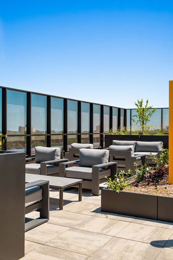 Bbq/picnic area