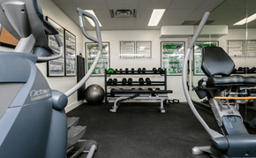 Calgary apartment for rent - A gym with a row of treadmills on the left and a row of exercise machines on the right.
