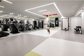 Edmonton apartment for rent - A gym with a variety of equipment including treadmills, weights, and exercise machines.