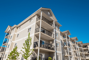 Spruce Grove apartment for rent - A tall apartment building with balconies and trees in front.