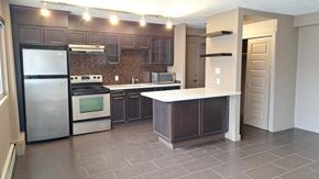 Calgary apartment for rent - A kitchen with a refrigerator, oven, and sink.