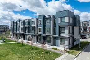 Calgary apartment for rent - A row of modern townhouses with a sidewalk and trees in front.