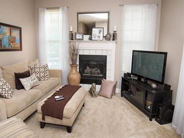 Beavercreek apartment for rent - a living room with a couch and a tv and a fireplace