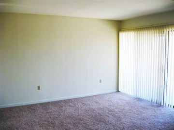 Dayton apartment for rent - a living room with a large window and carpet