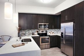 Naples apartment for rent - Waterfall edge quartz kitchen countertops and stainless steel appliances