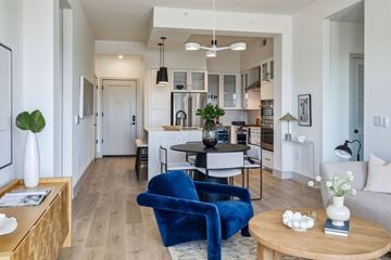 Mount Pleasant apartment for rent - A blue chair is in the middle of a living room.