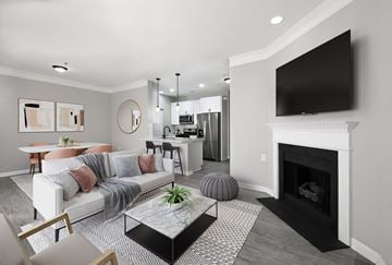 Charlotte apartment for rent - A living room with a fireplace and a television mounted above it.