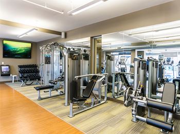 24-Hour professional caliber fitness studios and weight rooms