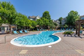 Fort Mill apartment for rent - A swimming pool surrounded by trees and lounge chairs.