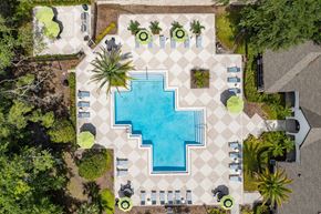 Tampa apartment for rent - Pool with sundeck and grills