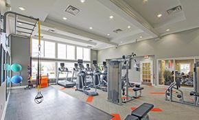 Streetsboro apartment for rent - Fitness studio with cardio and weight machines and TRX bands