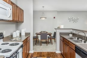 Raleigh apartment for rent - Bowl sinks, dishwashers, stoves, ovens, dishwashers