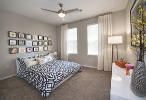 Charlotte apartment for rent - Master Bedroom