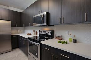Davenport apartment for rent - Stainless steel appliances and designer backsplash