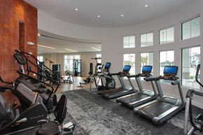 Davenport apartment for rent - 24-hour professional fitness studio with free weights, stretch zone and Matrix  equipment