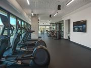 Detroit apartment for rent - A gym with treadmills and elliptical machines.