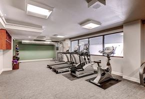 Denver apartment for rent - A gym with a green wall and a row of treadmills.